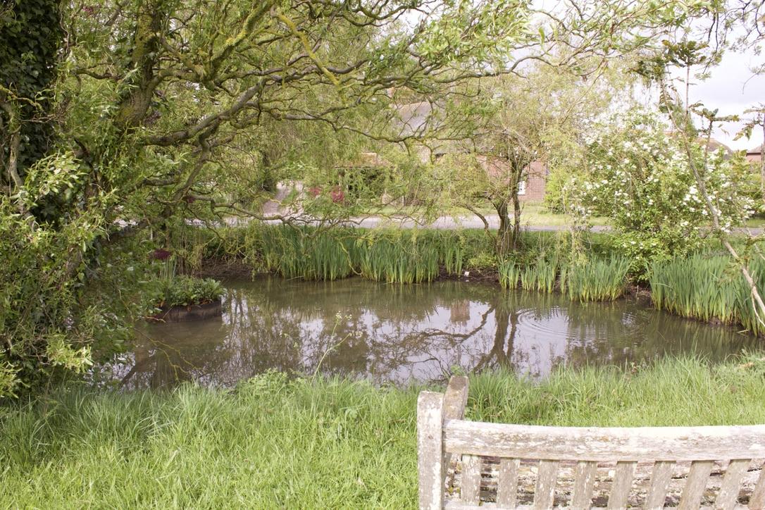 Village Pond